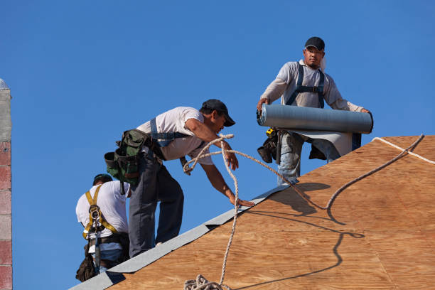 Best Roof Replacement Cost  in New Union, TN
