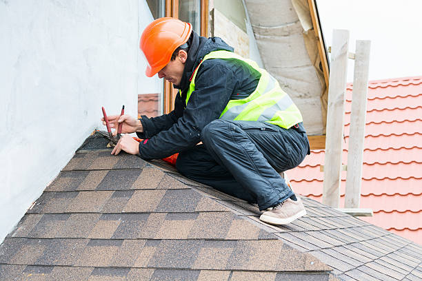 Best Roof Gutter Cleaning  in New Union, TN
