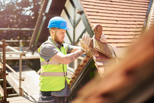Best Roof Maintenance Services  in New Union, TN